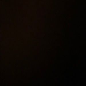 Meet your Posher, Dylan